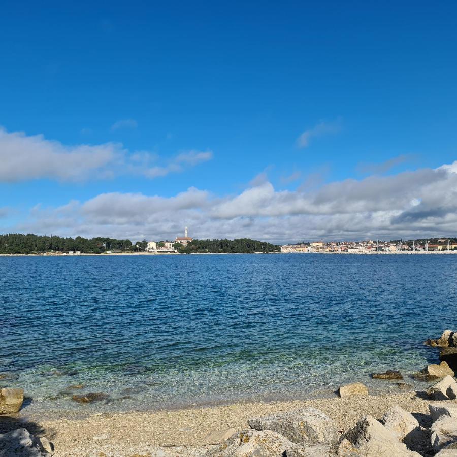 Vila Tena Rovinj Croatia ภายนอก รูปภาพ